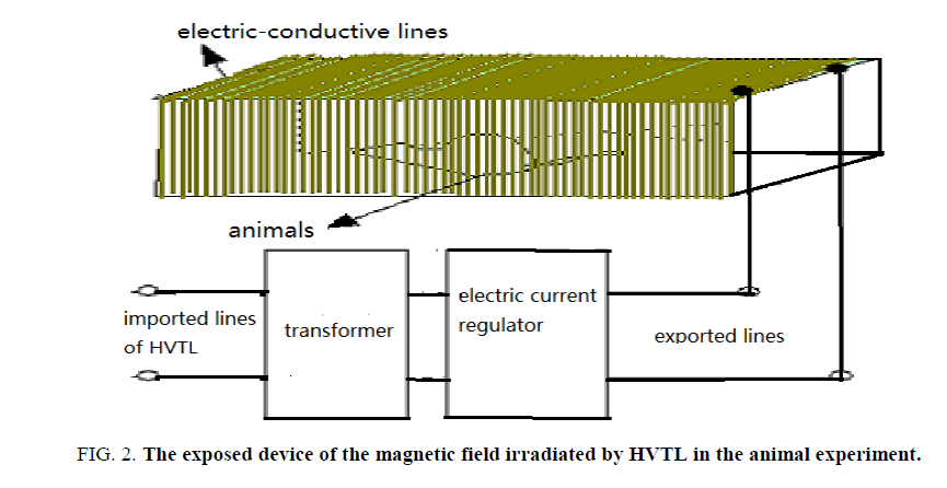 Environmental-Science-magnetic-field