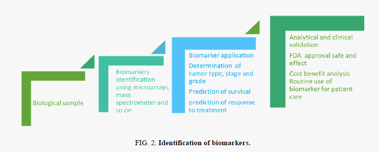 biochemistry-Identification