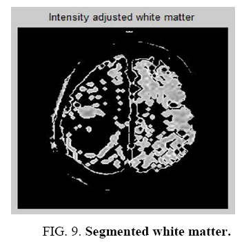 biotechnology-Segmented-white