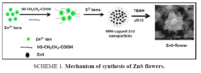 chemxpress-synthesis-ZnS