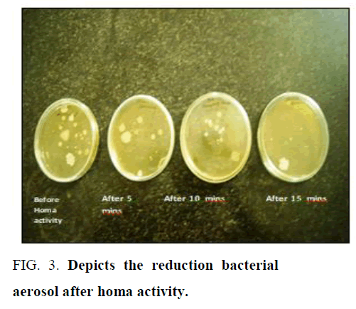 environmental-science-bacterial