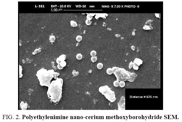 international-journal-chemical-sciences-Polyethylenimine-nano