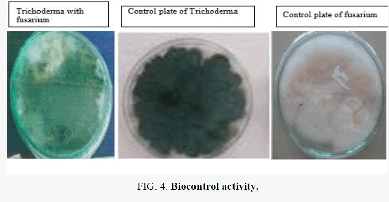 macromolecules-Biocontrol-activity