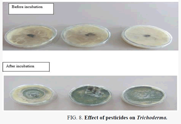 macromolecules-Effect-pesticides