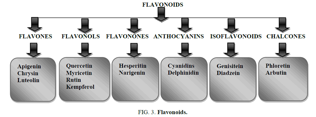 natural-products-Flavonoids