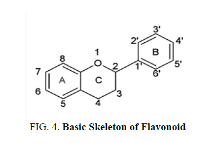 natural-products-Skeleton-Flavonoid